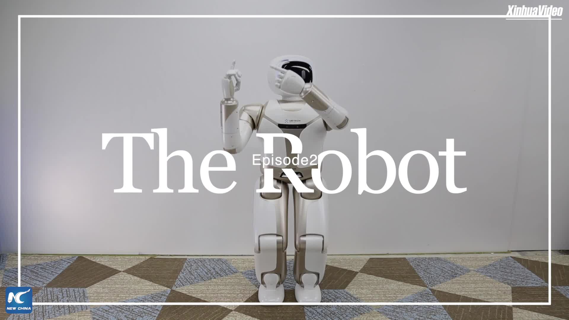 top 5 humanoid robots